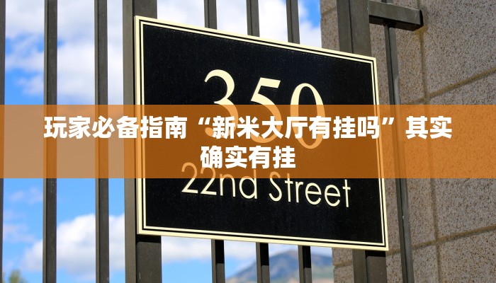 玩家必备指南“新米大厅有挂吗”其实确实有挂