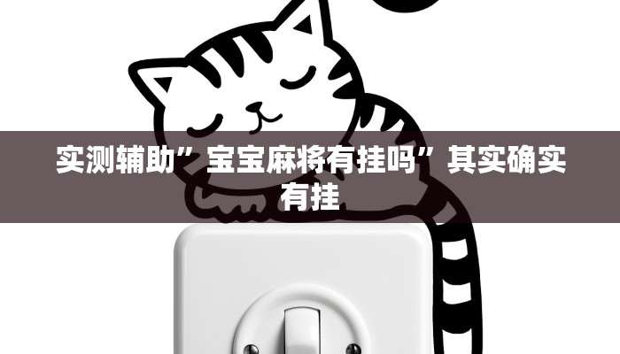 实测辅助”风风字牌怎么开挂”其实确实有挂