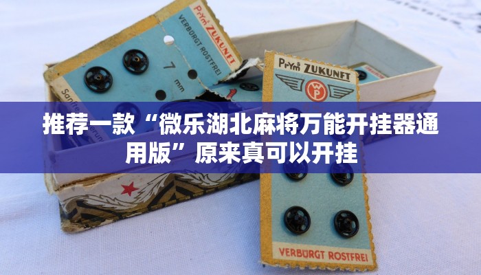 实测辅助”博雅红河棋牌开挂器”其实确实有挂