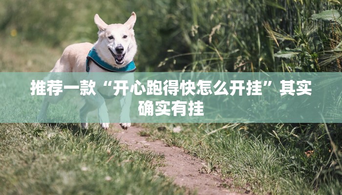 教程辅助!“财神十三张免费开挂透视神器”原来真可以开挂