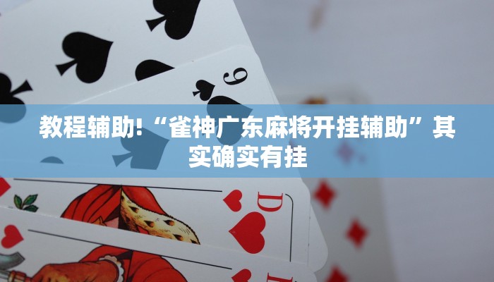 教程辅助!“雀神广东麻将开挂辅助”其实确实有挂