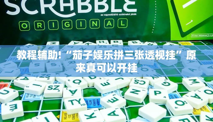实测辅助”皮皮广东麻将辅助怎么开挂”其实确实有挂