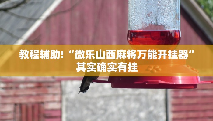 推荐一款“哥哥跑得快开挂神器推荐一款“