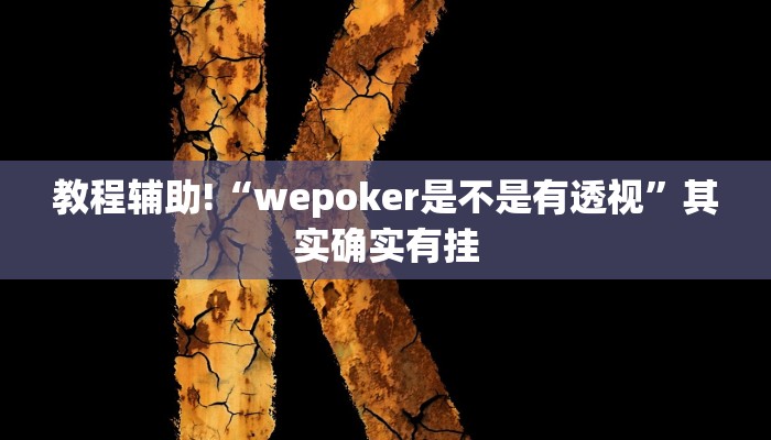 教程辅助!“wepoker是不是有透视”其实确实有挂