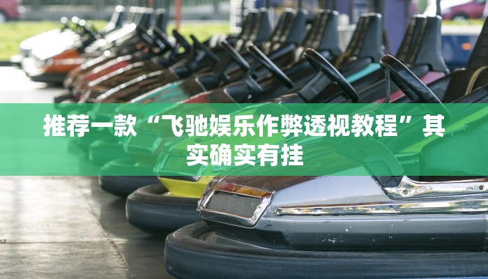 实测辅助”皮皮广东麻将开挂神器”其实确实有挂