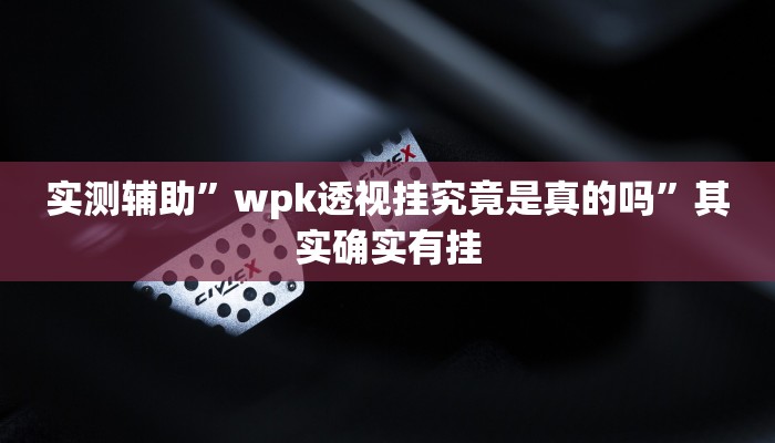 实测辅助”AApoker辅助开挂”其实确实有挂