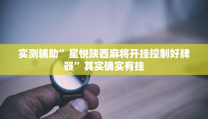 实测辅助”wepoker辅助怎么开挂”其实确实有挂