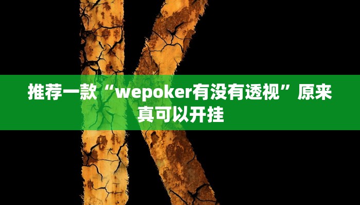 实测辅助”打哈麻将开挂神器”(原来确实是有挂)