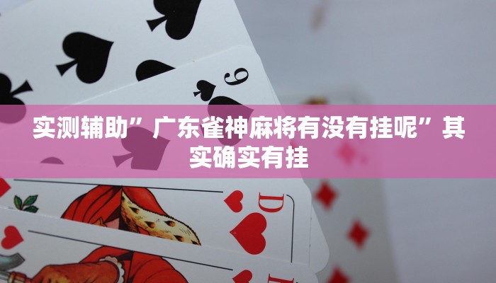 实测辅助”大齐山东麻将开挂神器”其实确实有挂