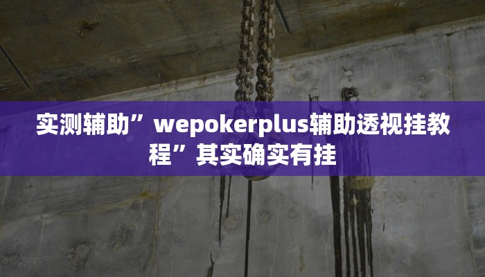 实测辅助”哈局十三张用挂开挂软件”其实确实有挂