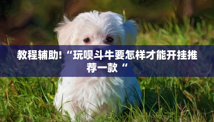 实测辅助”天天麻将川南开挂神器下载安装”其实确实有挂