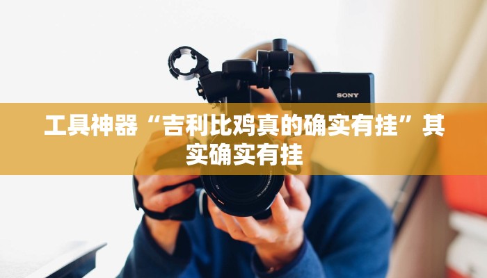 工具神器“吉利比鸡真的确实有挂”其实确实有挂
