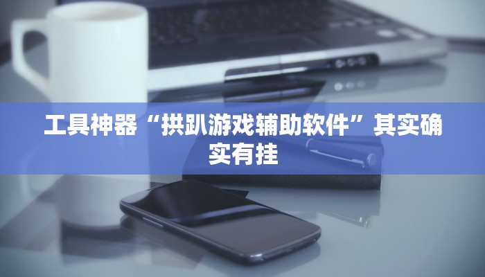 工具神器“老友十三水万能辅助器”其实确实有挂