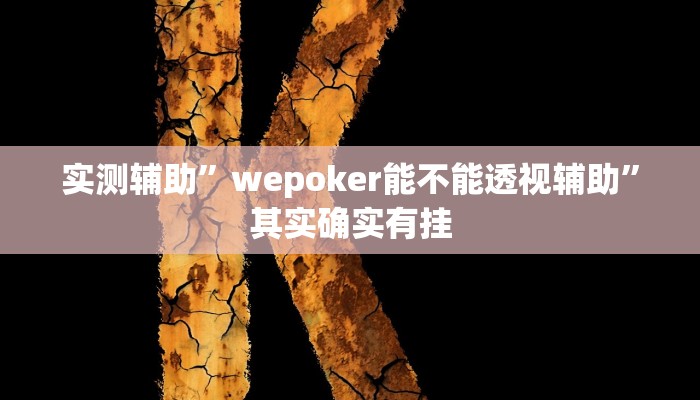 教程辅助!“随身13道作弊教程辅助!“