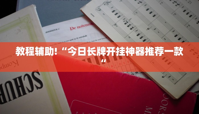 实测辅助”WepOKer到底有没有透视挂”其实确实有挂