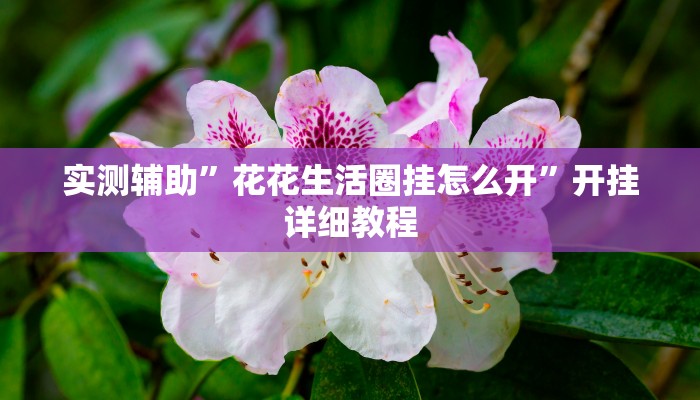 实测辅助”山东369麻将作怎么弊器下载”其实确实有挂