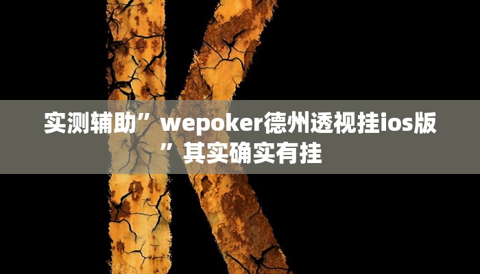 实测辅助”德州wepoker开挂辅助作弊”其实确实有挂