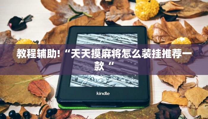 实测辅助”德扑之星破解辅助透视挂”其实确实有挂