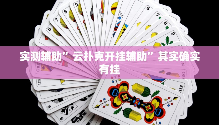 实测辅助”福建十三张辅助开挂”其实确实有挂