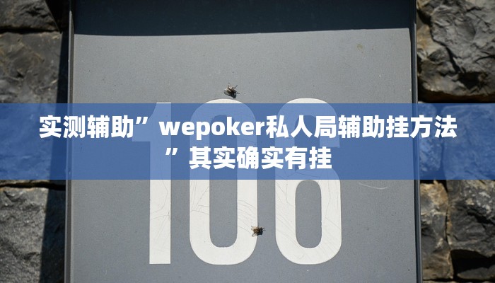 教程辅助!“新悠悠拼三张有开透视辅助挂教程辅助!“