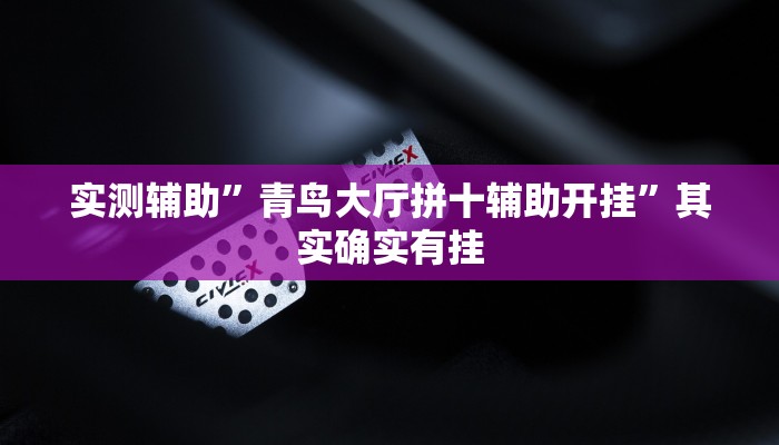 实测辅助”心悦填大坑透视挂是真的吗”其实确实有挂