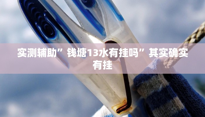 实测辅助”好玩棋牌辅助怎么开挂”(原来确实是有挂)