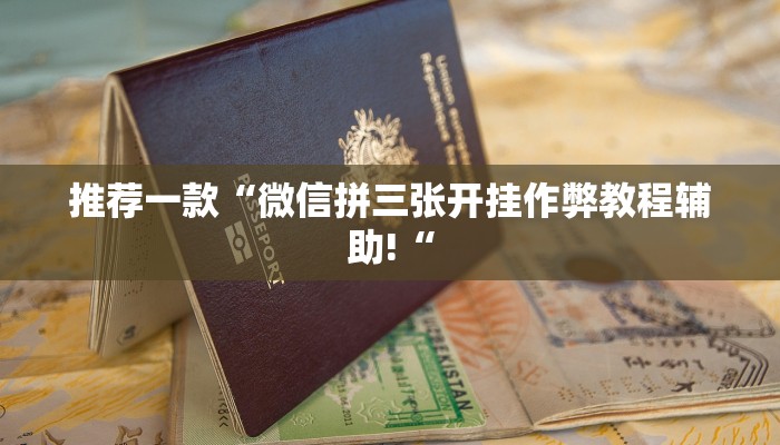 实测辅助”欢乐龙城挂怎么安装”其实确实有挂