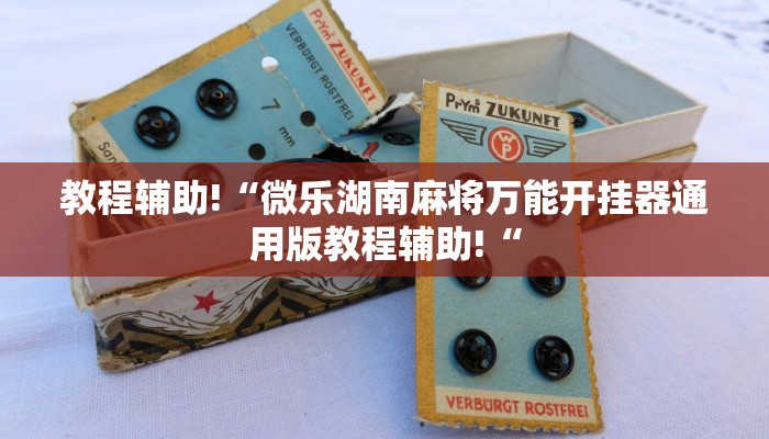 推荐一款“先锋跑得快怎么开挂”其实确实有挂