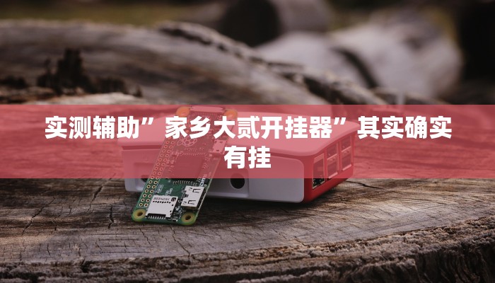 实测辅助”同城跑胡子开挂控制好牌器”(原来确实是有挂)