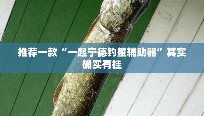 实 测 辅 助 ” 河 洛 杠 次 有 挂 吗 ” 其 实 确 实 有 挂