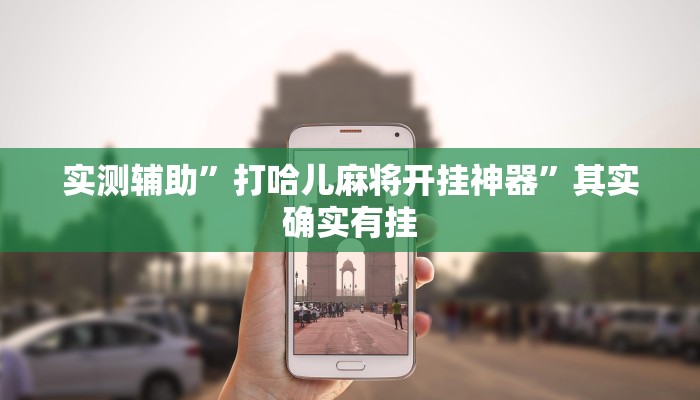 实测辅助”七彩佬腌菜开挂神器软件下载”(原来确实是有挂)