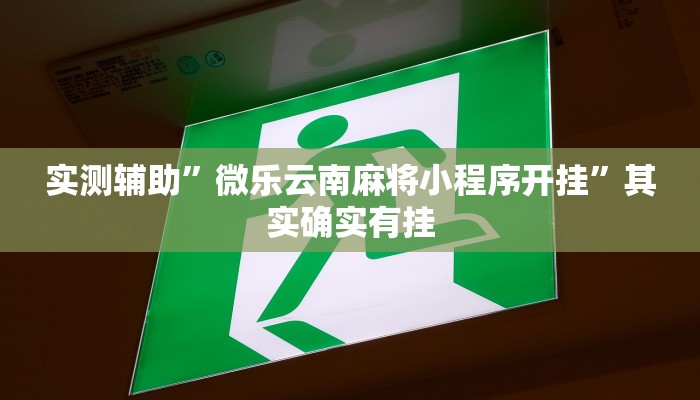 工具神器“财神十三张开挂神器下载”其实确实有挂