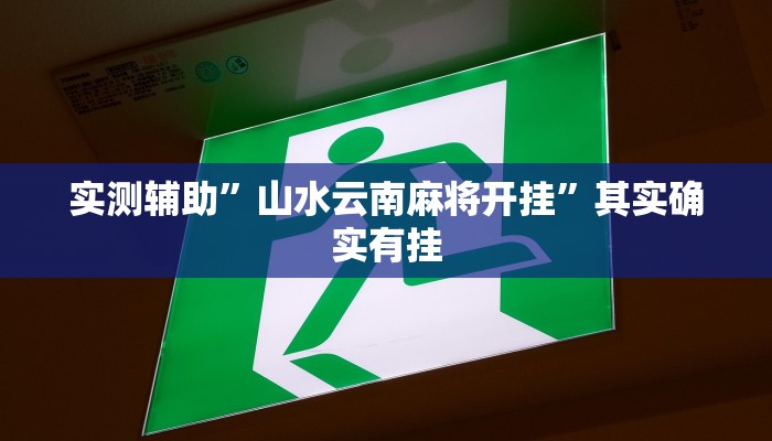 实测辅助”wepoker轻量版作弊挂开挂软件”其实确实有挂
