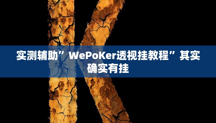 实 测 辅 助 ” 松 鼠 大 厅 拼 十 通 用 挂 ” 其 实 确 实 有 挂