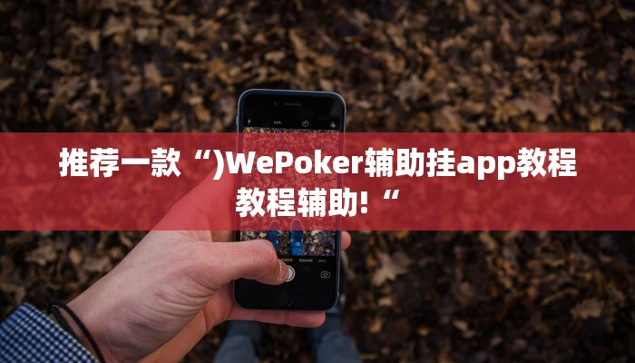 实测辅助”妙趣斗地主控制软件下载”其实确实有挂