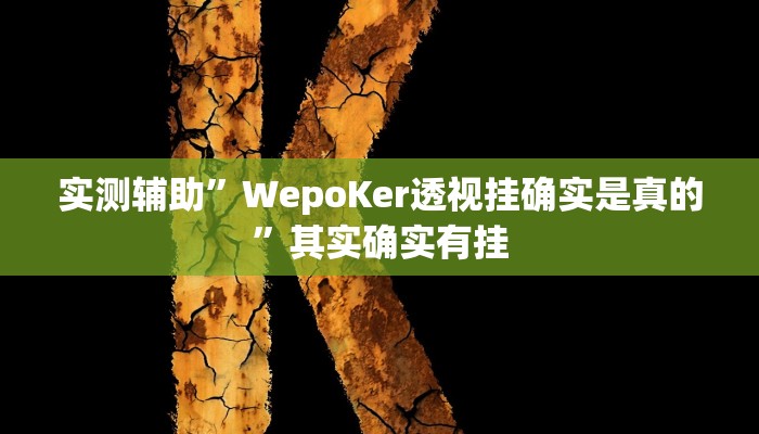 实测辅助”加个菜十三水开挂神器”开挂详细教程