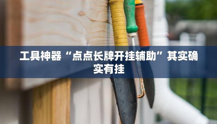 实测辅助”福建十三张通用挂”其实确实有挂
