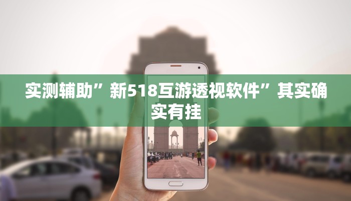 工具神器“微乐干瞪眼有透视吗”其实确实有挂