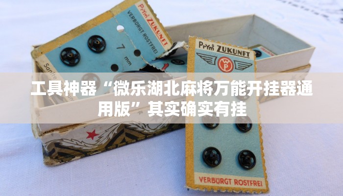 实测辅助”博乐填大坑用挂开挂软件”其实确实有挂