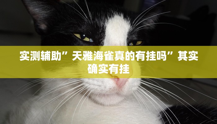 实测辅助”白金岛三打哈开挂方法”开挂详细教程