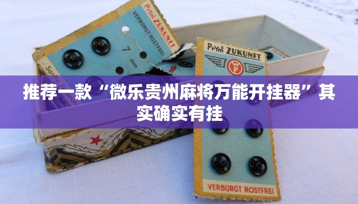 实测辅助”二八杠开挂透视”其实确实有挂