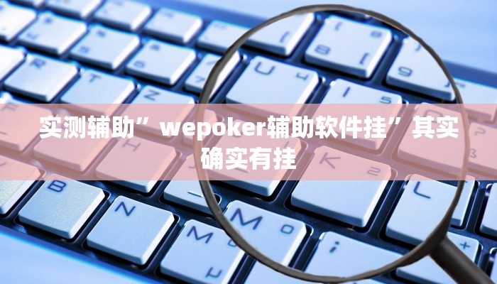 实测辅助”博乐龙江填大坑免费透视软件下载”开挂详细教程