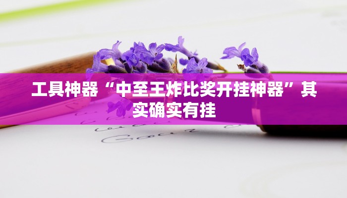 实测辅助”随身13道辅助开挂”其实确实有挂