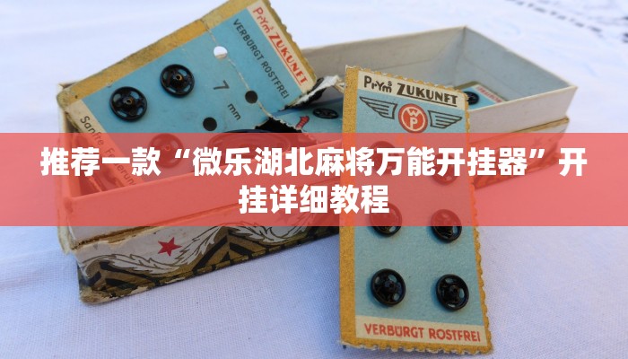 推荐一款“博乐填大坑辅助软件免费”其实确实有挂