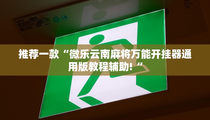实测辅助”中至窝龙可以开挂吗”其实确实有挂