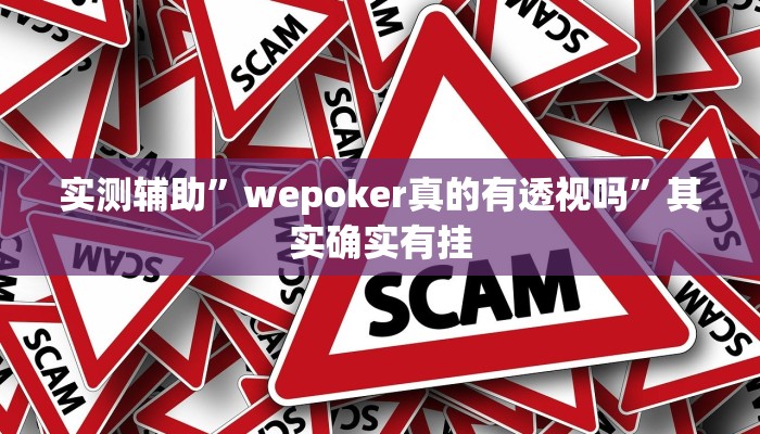 实测辅助”漳州好彩麻将有挂的吗”其实确实有挂