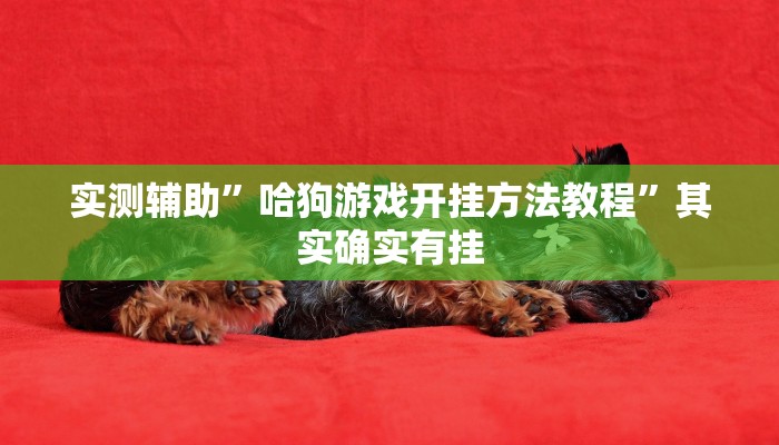 实测辅助”同城跑胡子开挂怎么买”其实确实有挂