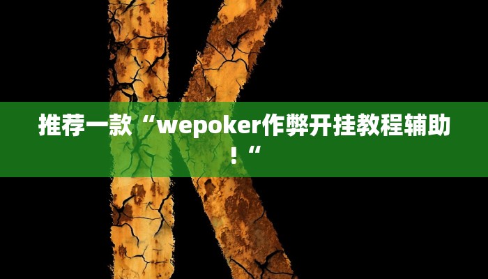实测辅助”老友福建棋牌通用挂”其实确实有挂