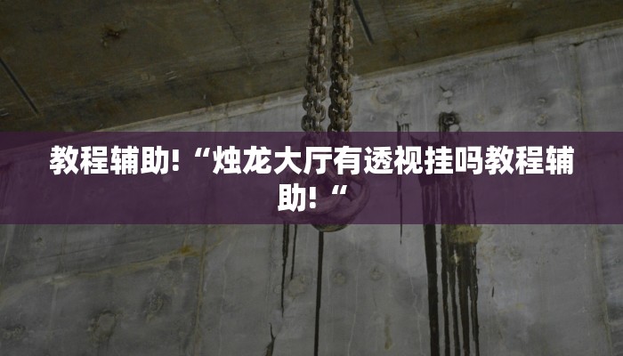 教程辅助!“波特互娱辅助工具下载推荐一款“