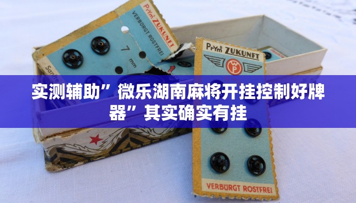 实测辅助”三哥玩十三张开挂神器”其实确实有挂